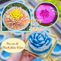 Khuôn silicon sen đá đại thành phẩm 9,5cm 